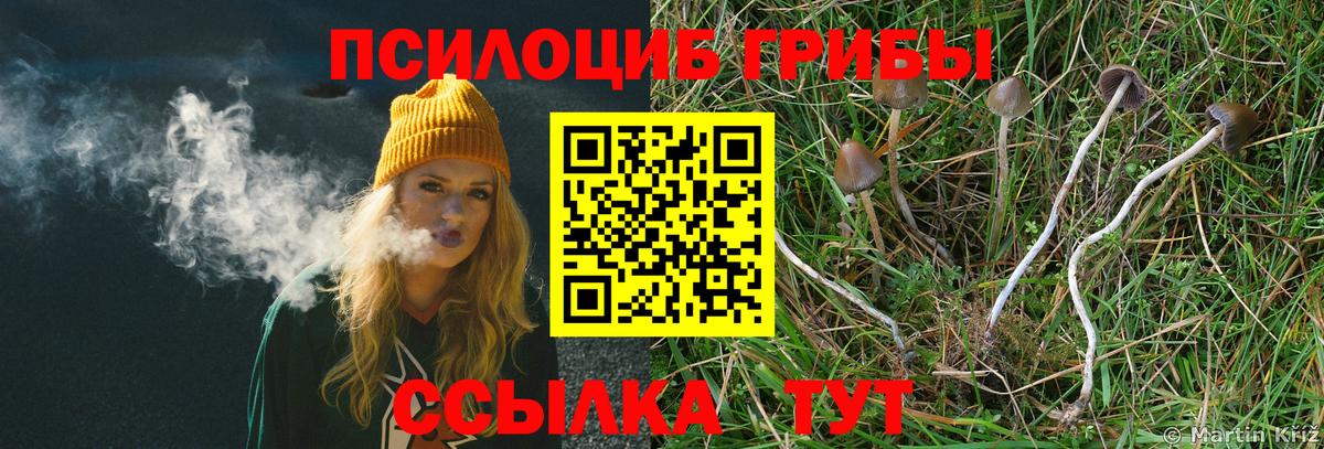 Галлюциногенные грибы GOLDEN TEACHER Алексин